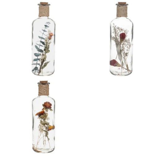 FLEURS SECHEES EN BOUTEILLE︱Lory