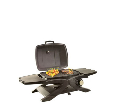 BARBECUE A GAZ︱Lory