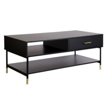 TABLE BASSE 110X60CM︱Lory
