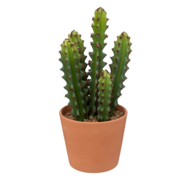 CACTUS ARTIFICIEL ALI H.25CM︱Lory