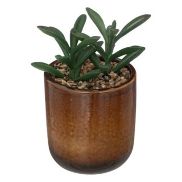 PLANTE DANS SON POT EN︱Lory