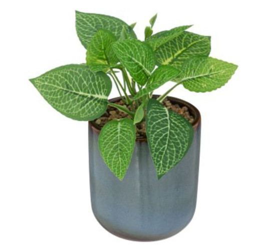 PLANTE ARTIFICIELLE DANS︱Lory