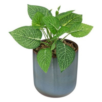 PLANTE ARTIFICIELLE DANS︱Lory