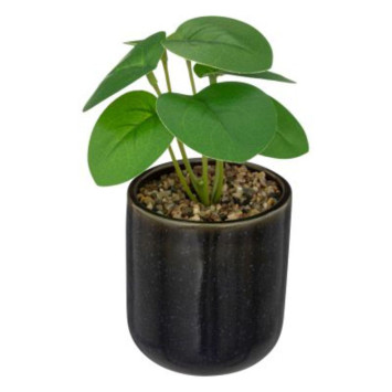PLANTE ARTIFICIELLE DANS SON︱Lory