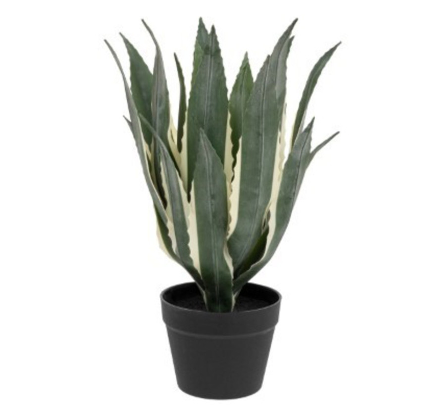 PLANTE ARTIFICIELLE AGAVE