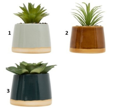 PLANTE DANS SON POT︱Lory