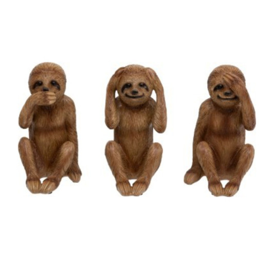LOT DE 3 SINGES PARESSEUX︱Lory