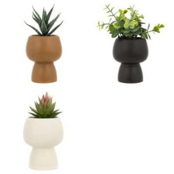 PLANTE GRASSE ARTIFICIELLE︱Lory