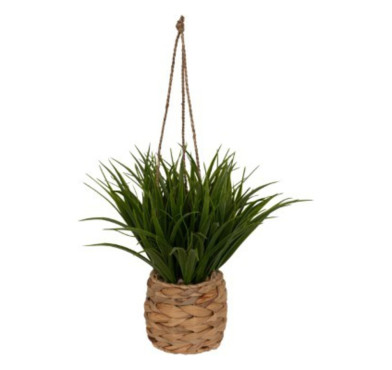 PLANTE A SUSPENDRE H.27CM︱Lory
