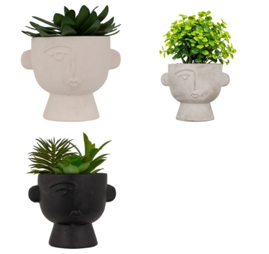 PLANTE ARTIFICIELLE EN CIMENT︱Lory