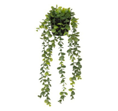 PLANTE EUCALYPTUS ARTIFICIEL︱Lory