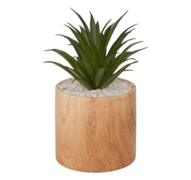 PLANTE GRASSE ARTIFICIELLE︱Lory