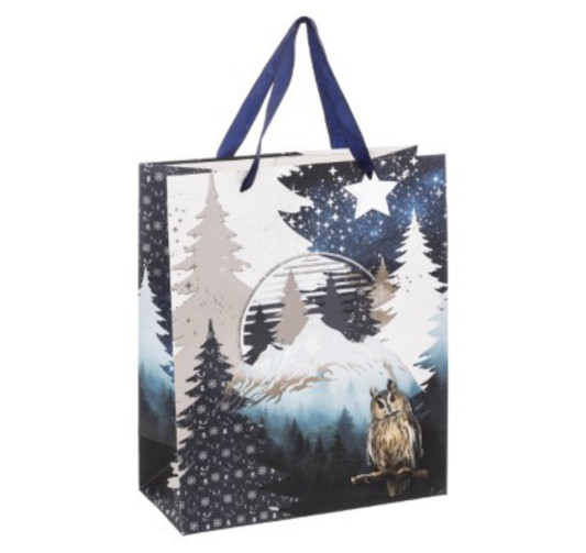 SAC CADEAU DE NOEL HIBOU DANS︱Lory