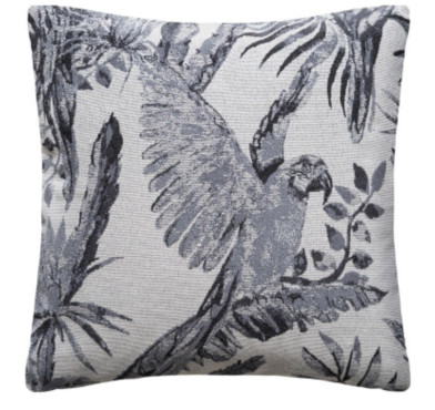 COUSSIN PERROQUET GRIS︱Lory