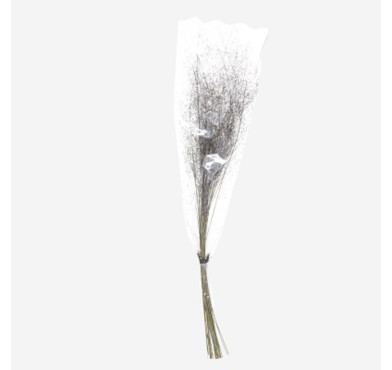 BOUQUET MUHLY FLEUR SECHEE︱Lory