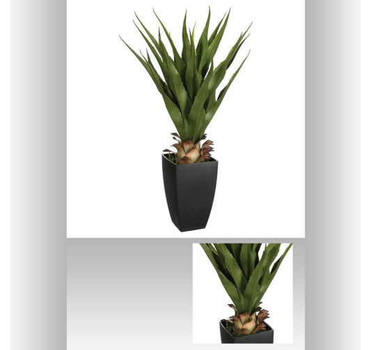 AGAVE ARTIFICIEL H.73CM︱Lory