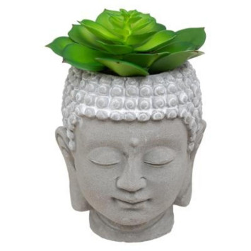 POT TETE DE BOUDDHA CIMENT︱Lory