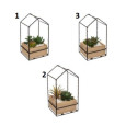 PLANTE MAISON AVEC LED, H.19CM PLANTE MAISON AVEC LED, H.19CM