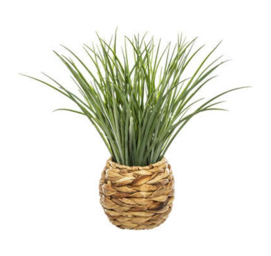 HERBE DANS CACHE POT TRESSE︱Lory
