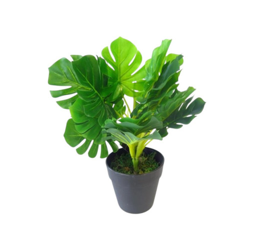 PLANTE ARTIFICIELLE DANS SON︱Lory