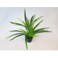 PLANTE ARTIFICIELLE EN POT