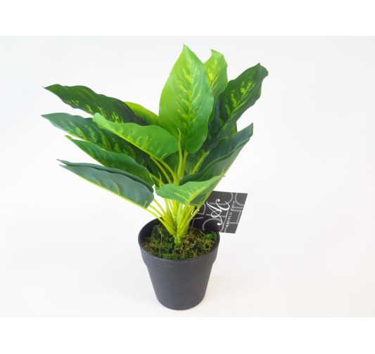 PLANTE ARTIFICIELLE EN POT︱Lory