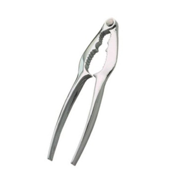 CASSE NOIX EN INOX︱Lory
