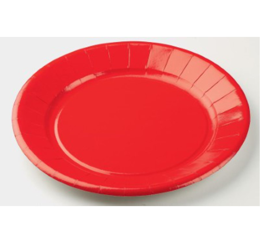 ASSIETTE EN CARTON X25PIECES