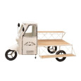 CAMION PORTE PLANTE BLANC