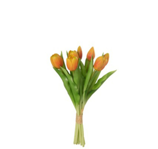 BOUQUET DE 7 TULIPES ORANGE︱Lory