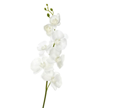 ORCHIDEE BLANC EN POLYESTER︱Lory
