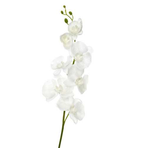 ORCHIDEE BLANC EN POLYESTER︱Lory