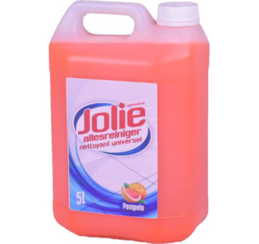 JOLIE POMPELO NETTOIE-TOUT︱Lory