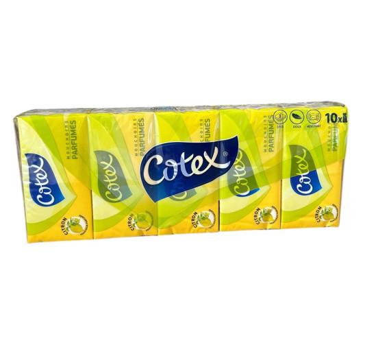 10 PAQUETS DE 10 MOUCHOIRS︱Lory