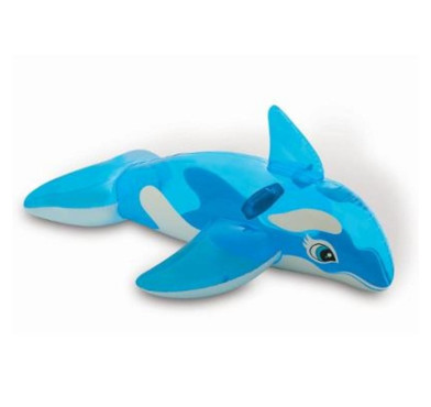 BALEINE A CHEVAUCHER︱Lory