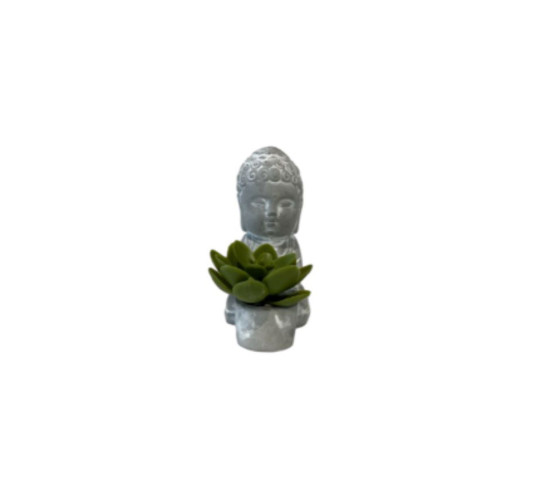 PLANTE ARTIFICIELLE POT CIMENT︱Lory