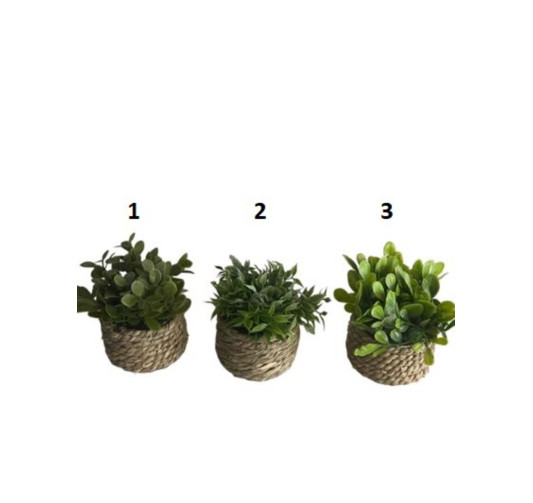 PLANTE ARTFICIELLE 8X11CM︱Lory