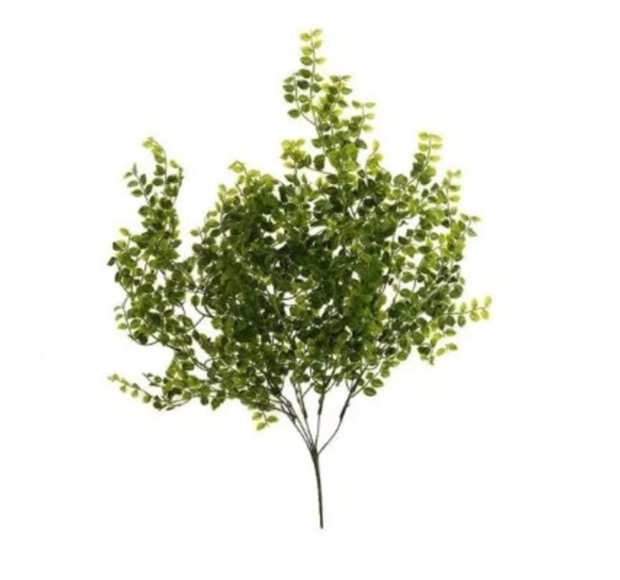 BRANCHE DE FEUILLAGE