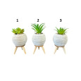 MINI PLANTE ARTIFICIELLE