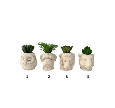 PLANTE POT ANIMAL 5.5X8CM︱Lory