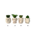 PLANTE POT ANIMAL 5.5X8CM