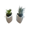 PLANTE ARTIFICIELLE