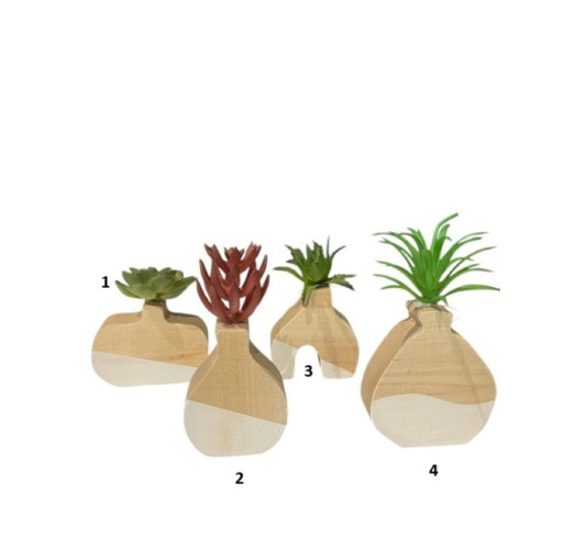 VASE EN BOIS AVEC PLANTE︱Lory