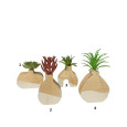 VASE EN BOIS AVEC PLANTE
