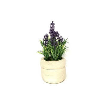 POT CIMENT AVEC LAVANDE 14X15︱Lory