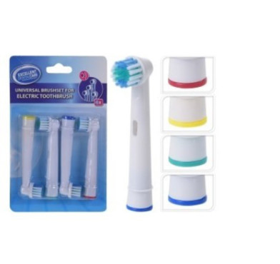 TETE DE BROSSE A DENTS︱Lory