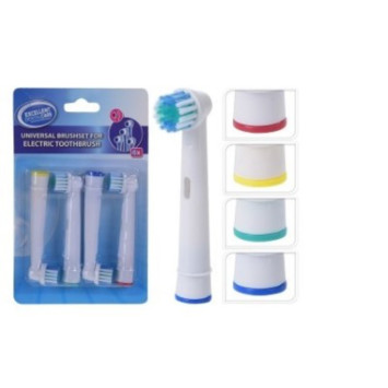TETE DE BROSSE A DENTS︱Lory