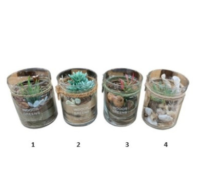 PLANTE SUCCULENT DANS SON POT︱Lory