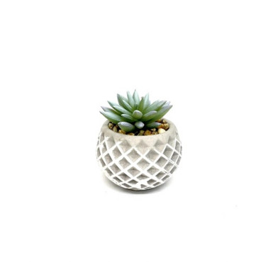 SUCCULENTS POT EN︱Lory