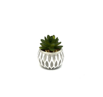 PLANTE ARTIFICIELLE DANS SON︱Lory